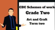 Art and Craft term 2, grade two, cbc schemes of work