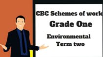 Environmental term 2, grade one, cbc schemes of work