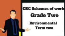 Environmental term 2, grade two, cbc schemes of work