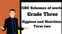 Hygiene and Nutrition term 2, grade three, cbc schemes of work