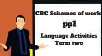 Language Activities pp1 term two, cbc schemes of work