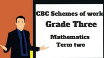 Mathematics term 2, grade three, cbc schemes of work