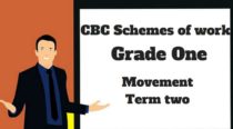 Movement Activities term 2, grade one, cbc schemes of work