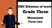 Movement term 2, grade three, cbc schemes of work