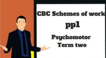Psychomotor pp1 term two, cbc schemes of work