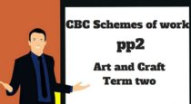 art and craft pp2 term two, cbc schemes of work