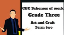 art and craft term 2, grade three, cbc schemes of work