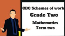 mathematics term 2, grade two, cbc schemes of work new