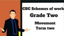 movement term 2, grade two, cbc schemes of work