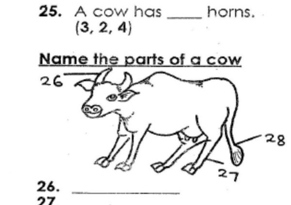 Grade 2 Science Exams Past Papers (End of Term 1 2018)