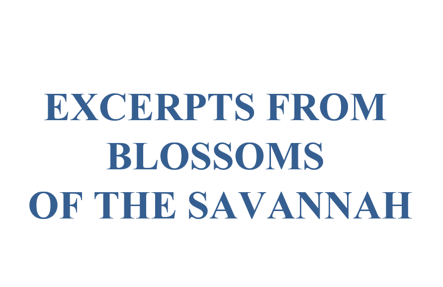 Blossoms of the Savannah Sample Excerpt Questions and Answers