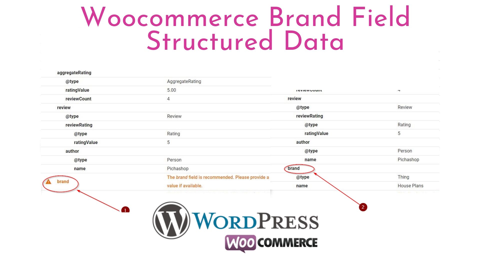 Wocommerce Brand Field Structured Data for recommended field (Plugin)